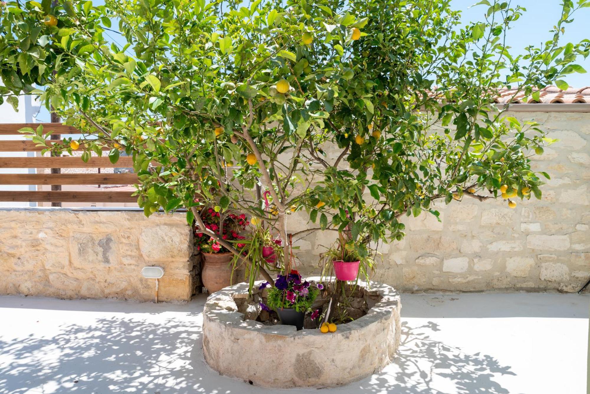 הוילה Calliope'S House In Knossos מראה חיצוני תמונה